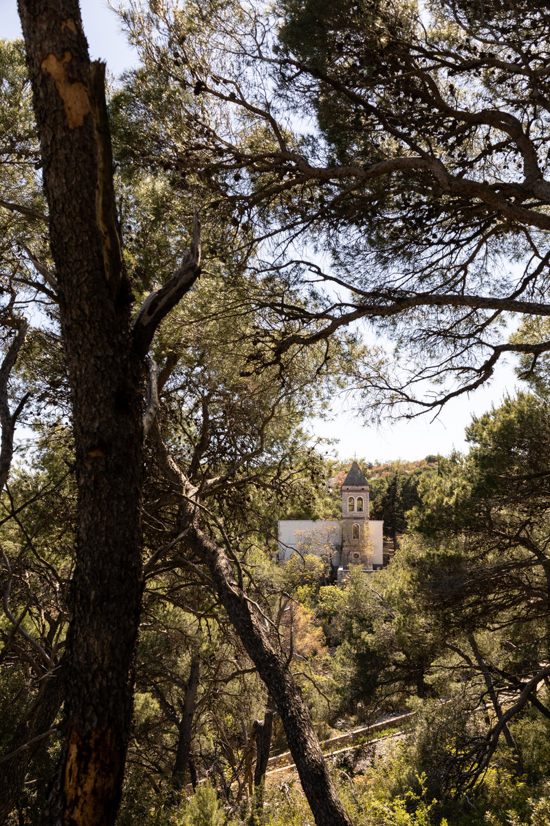 Chapel through pine branches